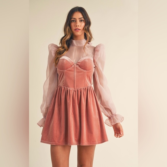NWT Rose Organza Puff Sleeve Velvet Mini Dress With Open Back. Size small- large - Picture 1 of 13